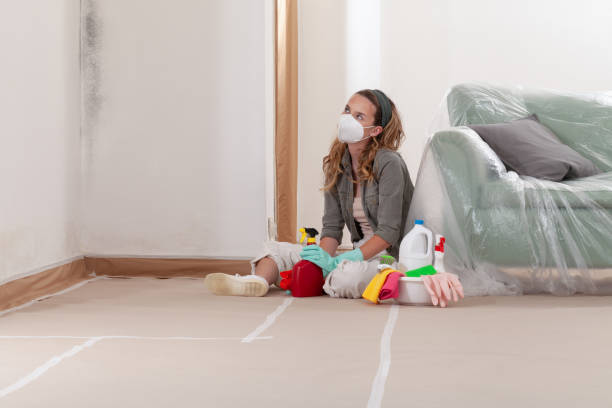 Reliable Mold Cleanup contractor in Palm Beach, FL by WQB Mold Removal